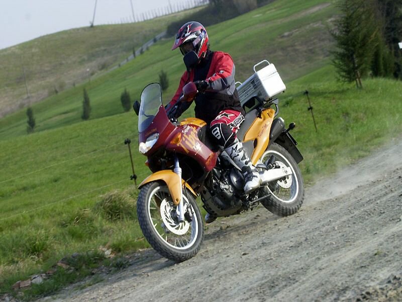 Click to See Next Image