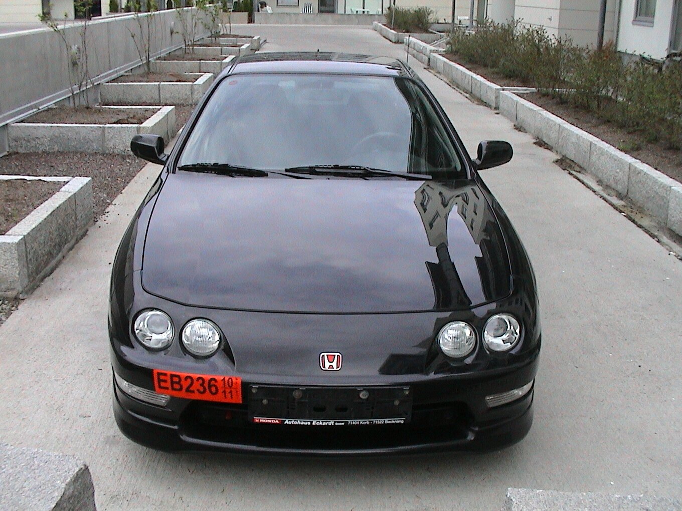 Click to See Next Image