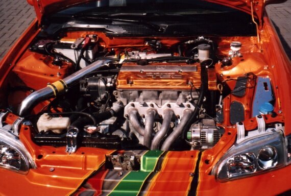 Click to See Next Image